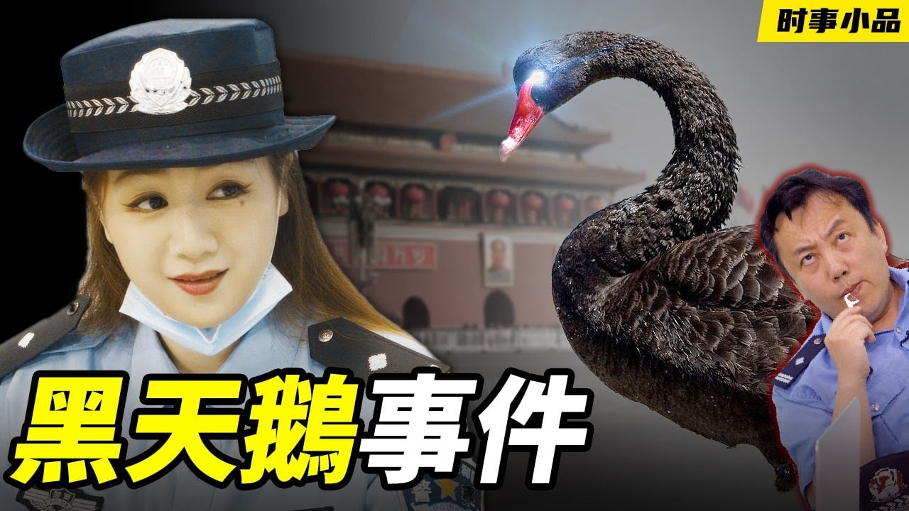 私密：[ID: DvSDEcPNjDs] Youtube Automatic