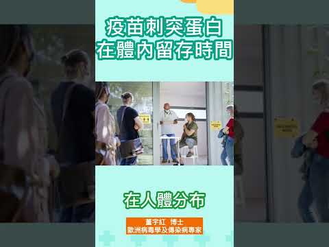 [ID: ghcfv8z9fjg] Youtube Automatic