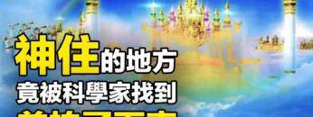 [ID: BkiLQql6eRI] Youtube Automatic