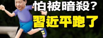 [ID: lXhuUzndO1Q] Youtube Automatic