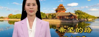 [ID: nwXNh_gwbno] Youtube Automatic