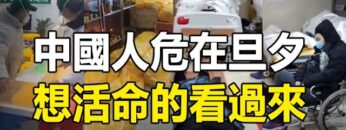 [ID: P3I7xn5Kx_s] Youtube Automatic