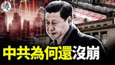 [ID: RN01_u4gPoI] Youtube Automatic