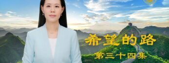 [ID: D-onqgVkT98] Youtube Automatic