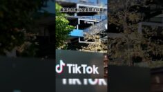 [ID: 7ZfTERpgBtY] Youtube Automatic