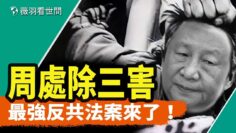 [ID: cxkW6Af1RYg] Youtube Automatic