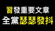 [ID: qujy_JrXo4E] Youtube Automatic