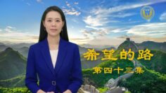 [ID: _33qrTavdOE] Youtube Automatic