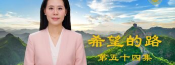 [ID: 0023_YjBqdM] Youtube Automatic