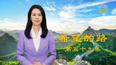 [ID: NrlDDUvARvA] Youtube Automatic