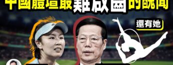 私密：[ID: deFc3kAeVbA] Youtube Automatic