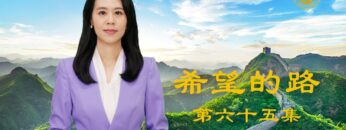 [ID: HPQr0XWAUI8] Youtube Automatic