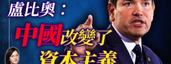 [ID: gGra2jWOTTA] Youtube Automatic