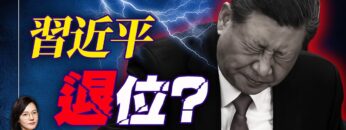 [ID: RyitWADp8q8] Youtube Automatic