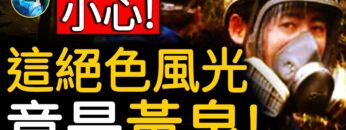 [ID: 1AQLMIdDSs8] Youtube Automatic