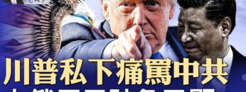 [ID: AF-1r9w2n0Q] Youtube Automatic