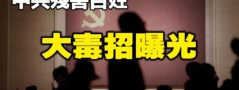 [ID: CcydYAR-nc0] Youtube Automatic