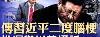 [ID: nYhQDz5L1uQ] Youtube Automatic