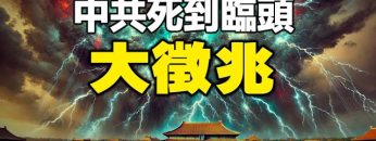 [ID: s3jCJL4cFMg] Youtube Automatic