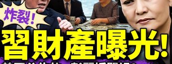 私密：[ID: Cf1fhAMxd_E] Youtube Automatic