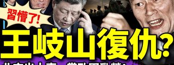 私密：[ID: SvTJc5E6zAM] Youtube Automatic