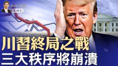 [ID: DhIplCyEwbs] Youtube Automatic