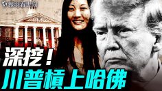 [ID: _qdf5JK4RhA] Youtube Automatic