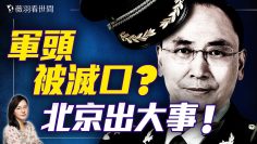 私密：[ID: Xcbz8tMAUN0] Youtube Automatic