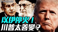 [ID: 6RTK_JaPA-0] Youtube Automatic