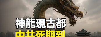 [ID: AWvp09sIw5A] Youtube Automatic