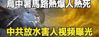 [ID: N0llstSx5zk] Youtube Automatic