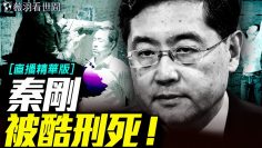 私密：[ID: NFhdhWbb-yI] Youtube Automatic