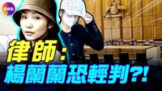 [ID: dAcEofCKIOQ] Youtube Automatic