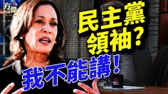 [ID: evMKm8YLcHo] Youtube Automatic