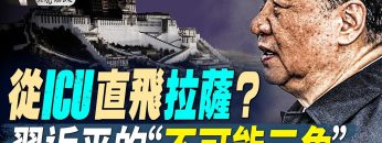 私密：[ID: hRmbmCR-emM] Youtube Automatic