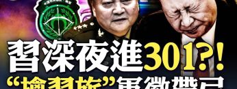 [ID: k80u6Mk31p4] Youtube Automatic