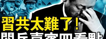 [ID: pzfli3jb4Eg] Youtube Automatic