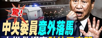 私密：[ID: t2ThPVUEZ-g] Youtube Automatic