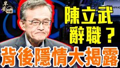 [ID: VO4h0cm_AfM] Youtube Automatic