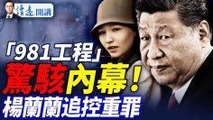 [ID: 2f-2lRNojf0] Youtube Automatic