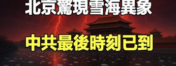 [ID: awpuQSshEbg] Youtube Automatic