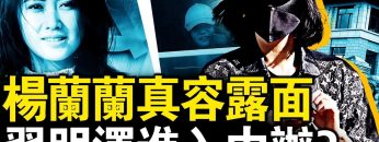 [ID: eT-EjgiGh6g] Youtube Automatic