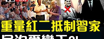 私密：[ID: fzmD6AgZIUQ] Youtube Automatic