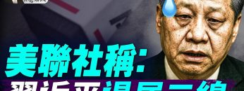 私密：[ID: MBso81LB5uA] Youtube Automatic