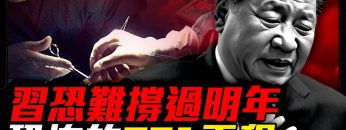 [ID: s8S9z-9kDO0] Youtube Automatic