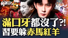 [ID: D6mFNsWT2ug] Youtube Automatic