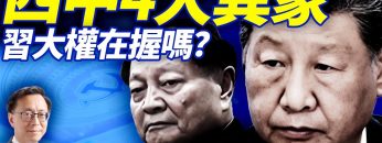 私密：[ID: DF8tVVTSLxM] Youtube Automatic