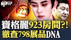 私密：[ID: dmeMvIktmYU] Youtube Automatic