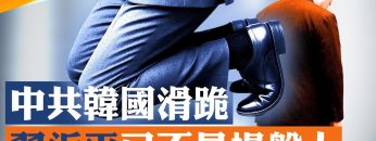 [ID: p_D04YpNOJk] Youtube Automatic