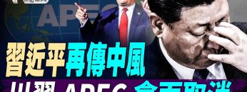 [ID: r6iyNRWKsrU] Youtube Automatic